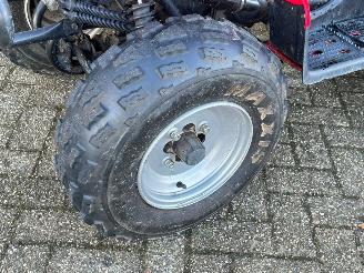 Quads  Eton Yukon 150cc Utility picture 10