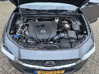 Mazda CX-30 2.0 e-SkyActive -G M Hybrid Comfort picture 31