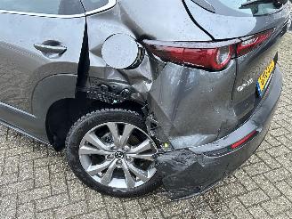 Mazda CX-30 2.0 e-SkyActive -G M Hybrid Comfort picture 32