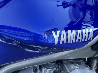 Yamaha FZS 1000 Fazer picture 14