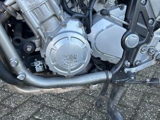 Yamaha FZS 1000 Fazer picture 10