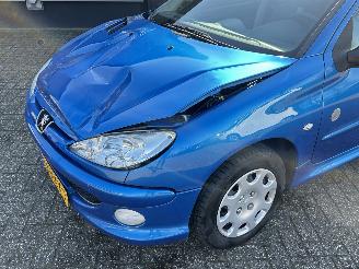 Peugeot 206 1.4 Génération picture 23