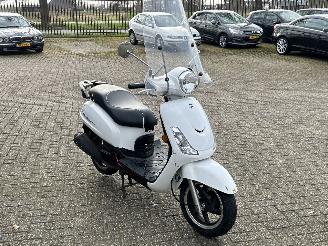 Sym  Fiddle 2 picture 7