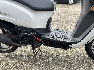 Sym  Fiddle 2 picture 12