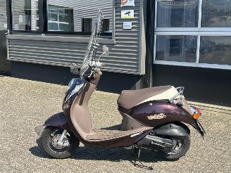 Sym  Mio 50 picture 2
