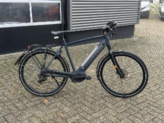 Gazelle  Cityzen Speed Pedelec picture 2