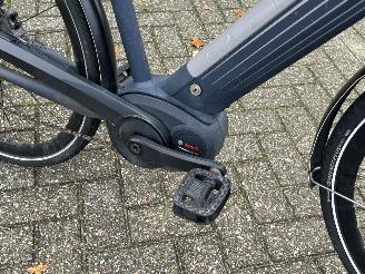 Gazelle  Cityzen Speed Pedelec picture 14
