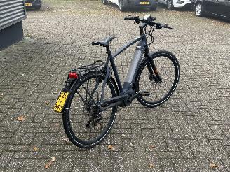 Gazelle  Cityzen Speed Pedelec picture 3
