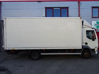 DAF FA 45 LF45G08 daf lf 45g08 6 meterbak met laadklep picture 6