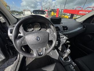Renault Mégane  picture 10