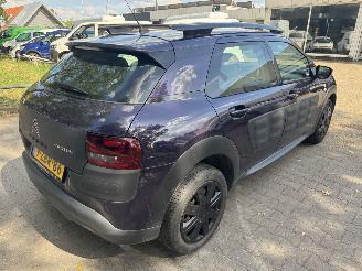 Citroën C4 cactus  picture 4