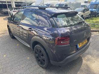 Citroën C4 cactus  picture 6