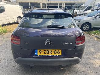 Citroën C4 cactus  picture 5