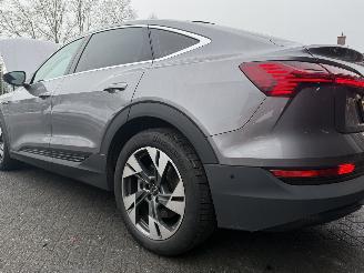 Audi E-tron 55 quattro edition 95 kWh  PANORAMADAK picture 40