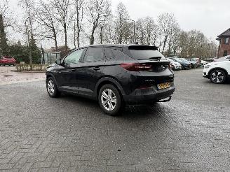 Avarii autoturisme Opel Grandland 1.2 Turbo Online Edition (SUV 5-dr.) 2018/3