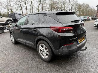 Opel Grandland 1.2 Turbo Online Edition (SUV 5-dr.) picture 2