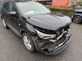 Opel Grandland 1.2 Turbo Online Edition (SUV 5-dr.) picture 32