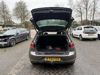 Volkswagen Golf 1.6 TDI Highline BlueMotion picture 10