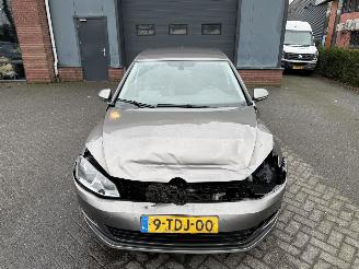 Volkswagen Golf 1.6 TDI Highline BlueMotion picture 6