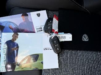 Peugeot 3008 1.2 Hybrid 136 Allure (SUV 5-dr.) picture 19