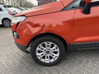 Ford EcoSport 1.0 EcoBoost Titanium (SUV 5-dr.) picture 12