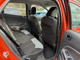 Ford EcoSport 1.0 EcoBoost Titanium (SUV 5-dr.) picture 19