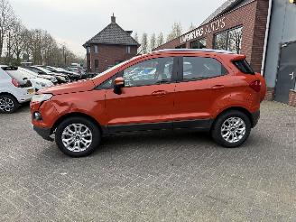 Ford EcoSport 1.0 EcoBoost Titanium (SUV 5-dr.) picture 2