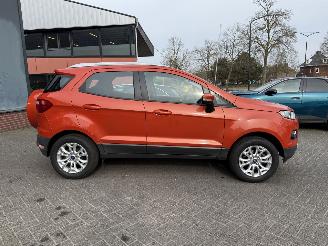 Ford EcoSport 1.0 EcoBoost Titanium (SUV 5-dr.) picture 6