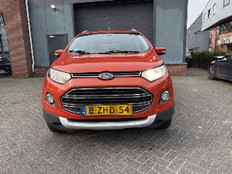 Ford EcoSport 1.0 EcoBoost Titanium (SUV 5-dr.) picture 9