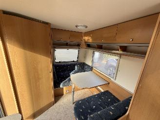 Kip  Celebration  44 ttz  MOVER  SCHADEVRIJ picture 23