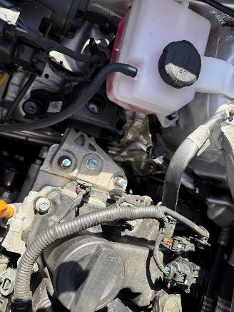 Kia Picanto 1.0 DPi DynamicPlusLine AUTOMAAT  (Hatchback 5-dr.) picture 10