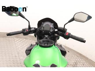 Kawasaki Z 650 ABS picture 15