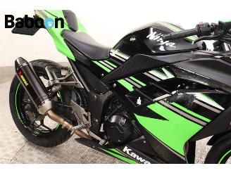 Kawasaki  Ninja 300 picture 14
