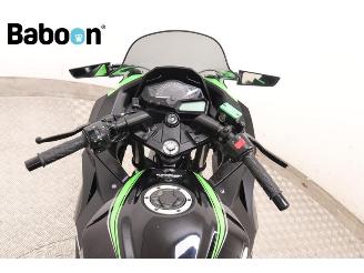 Kawasaki  Ninja 300 picture 15