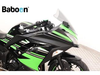 Kawasaki  Ninja 300 picture 13
