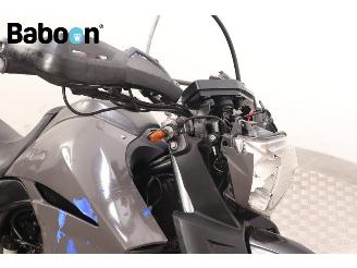 Yamaha XT 660 X picture 13
