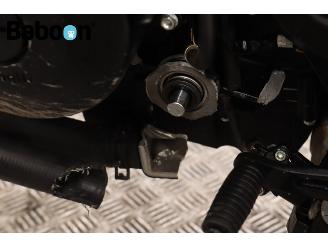 Benelli  Leoncino 500 picture 26