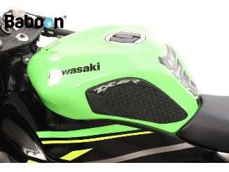 Kawasaki  Ninja ZX-6R picture 19