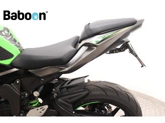 Kawasaki  Ninja ZX-6R picture 20