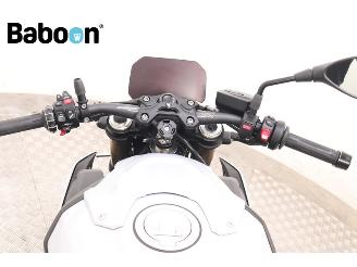 BMW S 1000 R  picture 15