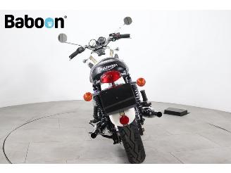 Triumph Bonneville T 100 picture 4