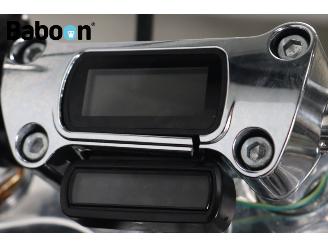 Harley-Davidson  FXST Softail Standard ABS picture 24