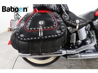 Harley-Davidson  FLSTN Softail Deluxe picture 13