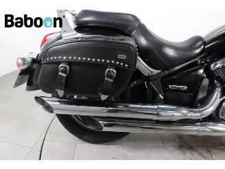 Kawasaki VN 900  picture 13