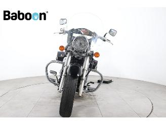 Kawasaki VN 900  picture 3