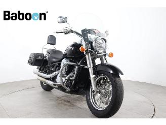 Kawasaki VN 900  picture 2