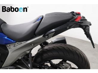 BMW  R 1300 R picture 21
