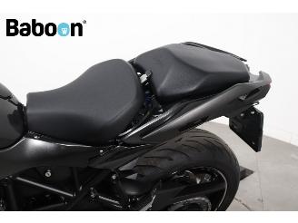 Kawasaki  Ninja H2 SX picture 11