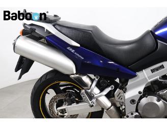 Suzuki  DL 1000 V-Strom picture 11
