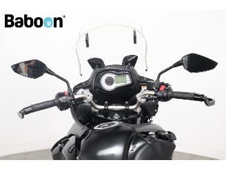 Suzuki DL 650 V-Strom ABS picture 16